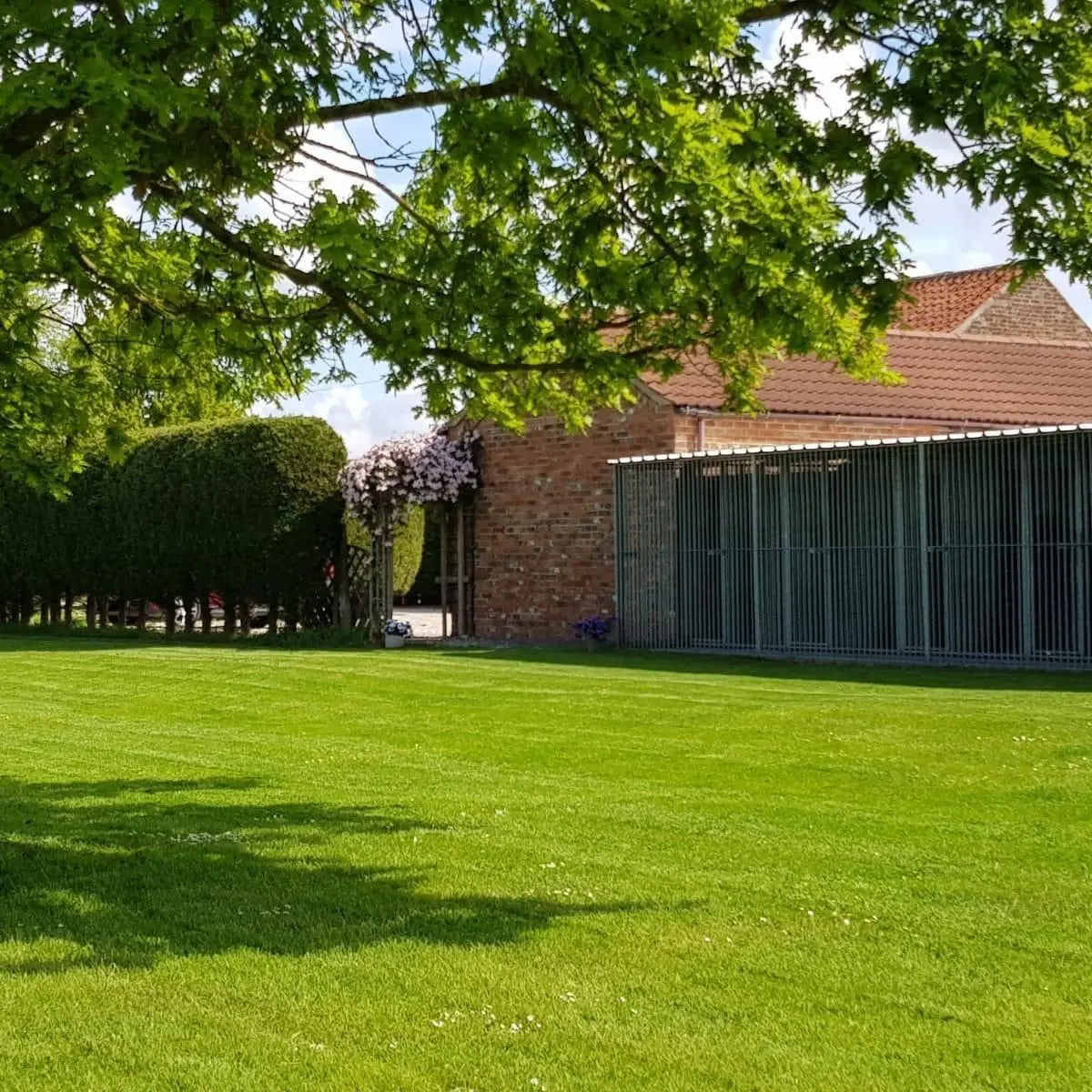 Mobirise Website Builder